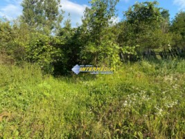 casa-cabana-de-vanzare-p1-cu-1682-mp-de-teren-zona-presaca-ampoiului-21