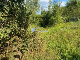 casa-cabana-de-vanzare-p1-cu-1682-mp-de-teren-zona-presaca-ampoiului-24