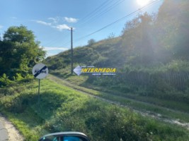 casa-cabana-de-vanzare-p1-cu-1682-mp-de-teren-zona-presaca-ampoiului-30