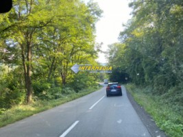 casa-cabana-de-vanzare-p1-cu-1682-mp-de-teren-zona-presaca-ampoiului-32