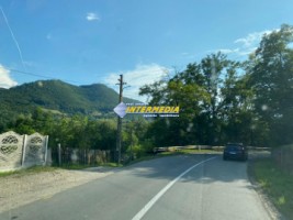casa-cabana-de-vanzare-p1-cu-1682-mp-de-teren-zona-presaca-ampoiului-33