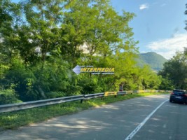 casa-cabana-de-vanzare-p1-cu-1682-mp-de-teren-zona-presaca-ampoiului-34