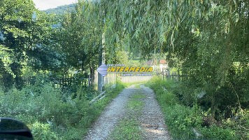 casa-cabana-de-vanzare-p1-cu-1682-mp-de-teren-zona-presaca-ampoiului-37