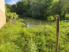 casa-cabana-de-vanzare-p1-cu-1682-mp-de-teren-zona-presaca-ampoiului-38