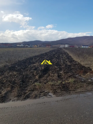 terenul-se-afla-intre-alba-si-micesti-strada-garda-terenul-este-intablulat-mai-multe-detalii-la-nr-de-telefon-751410342-747998260-1