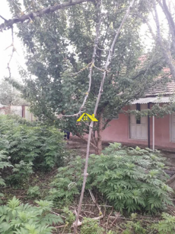 vanzare-imobile-casa-si-gradina-3