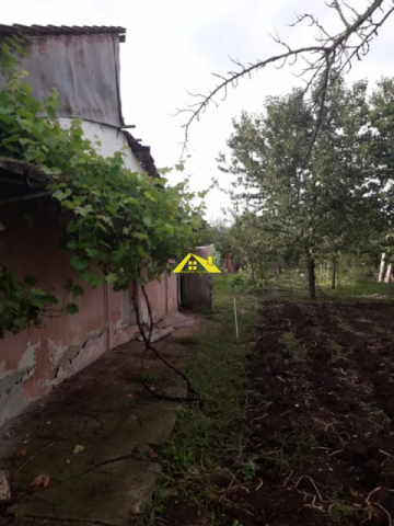 vanzare-imobile-casa-si-gradina-4