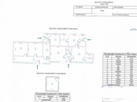 mihai-bravu-casa-boierasca-301-mp-teren-795-mp-la-160000-euro-8