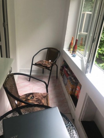 apartament-2-camere-lujerului-1