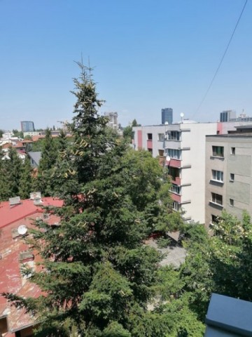 apartament-2-camere-ion-mihalache-domenii-5
