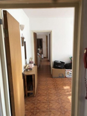 4-camere-drumul-taberei-1