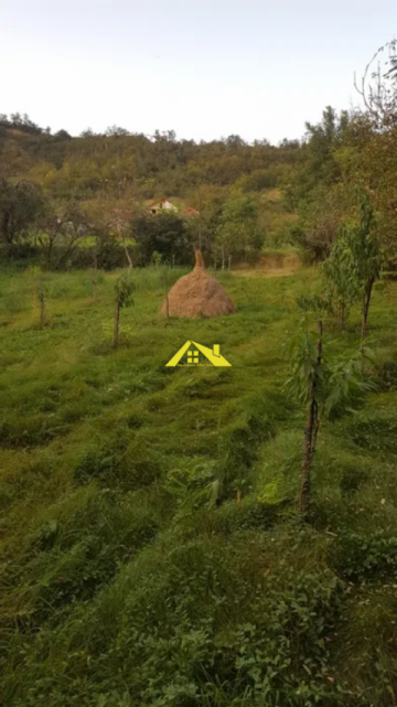 teren-intravilan-paclisa-2