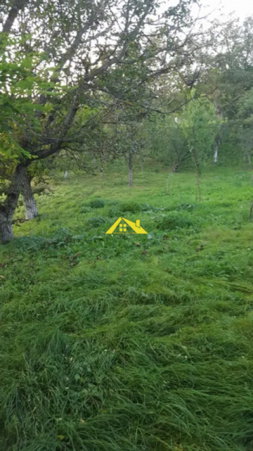 teren-intravilan-paclisa-4