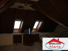 casa-de-inchiriat-in-satu-mare-id-6034-6
