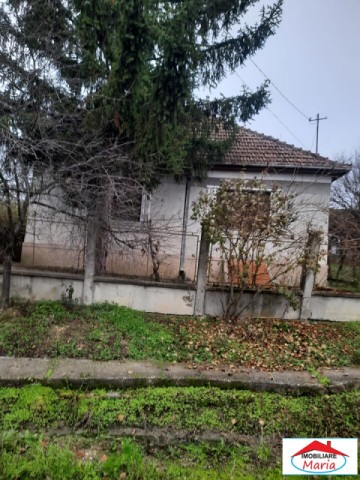 casa-cu-teren-viile-satu-mare-id-21956