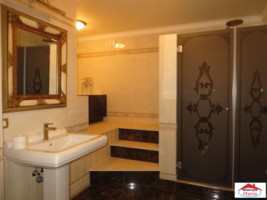 imobil-vila-unicat-cu-arhitectura-extravaganta-in-stil-baroc-id-21961-6