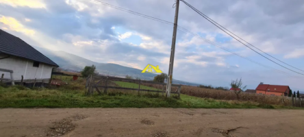 vand-teren-intravilan-micesti-2