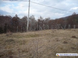 teren-extravilan-7500-mp-poiana-lerului-leresti-arges-pentru-proiecte-de-vacanta-5