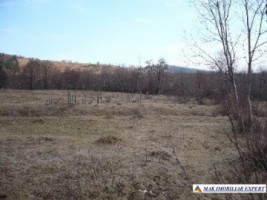 teren-extravilan-7500-mp-poiana-lerului-leresti-arges-pentru-proiecte-de-vacanta-4