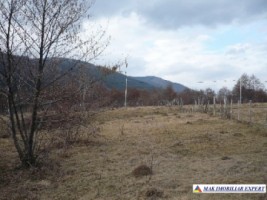 teren-extravilan-7500-mp-poiana-lerului-leresti-arges-pentru-proiecte-de-vacanta-6