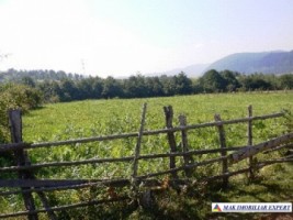 teren-extravilan-7500-mp-poiana-lerului-leresti-arges-pentru-proiecte-de-vacanta-7