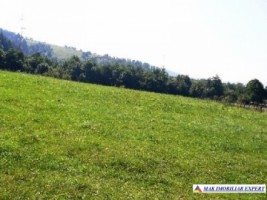 teren-extravilan-7500-mp-poiana-lerului-leresti-arges-pentru-proiecte-de-vacanta-9