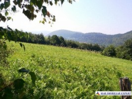 teren-extravilan-7500-mp-poiana-lerului-leresti-arges-pentru-proiecte-de-vacanta-8