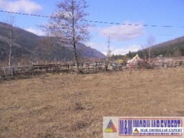 teren-extravilan-7500-mp-poiana-lerului-leresti-arges-pentru-proiecte-de-vacanta-11