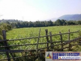 teren-extravilan-7500-mp-poiana-lerului-leresti-arges-pentru-proiecte-de-vacanta-10