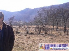 teren-extravilan-7500-mp-poiana-lerului-leresti-arges-pentru-proiecte-de-vacanta-12