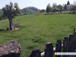 teren-intravilan-2600-mp-de-vanzare-rucar-arges-1
