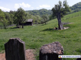 teren-intravilan-2600-mp-de-vanzare-rucar-arges-2