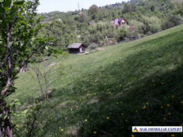 teren-intravilan-2600-mp-de-vanzare-rucar-arges-5