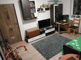 apartament-2-camere-lujerului-1