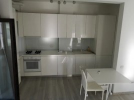 apartament-de-vanzare-herastrau-2-camere-1