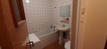 apartament-de-vanzare-2-camere-calea-mosiilor-4