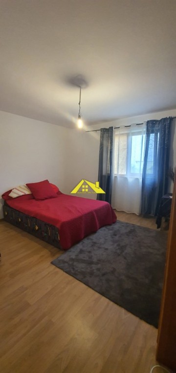 casa-individuala-de-vanzare-schit-5