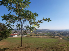 vand-teren-intravilan-alba-iulia-4