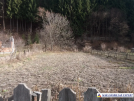 teren-intravilan-750-mp-de-vanzare-in-dragoslavele-arges