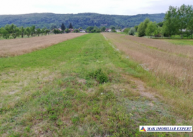 teren-intravilan-3974-mp-in-titesti-arges