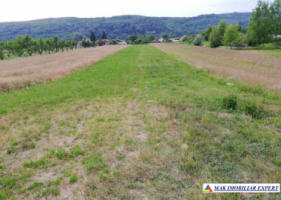teren-intravilan-3974-mp-in-titesti-arges-1