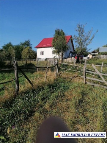 teren-intravilan-5597-mp-de-vanzare-in-bradulet-galesu-arges-ideal-pentru-dezvoltari-rezidentiale-sau-agricole