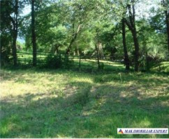 teren-3000-mp-intravilan-matau-mioarele