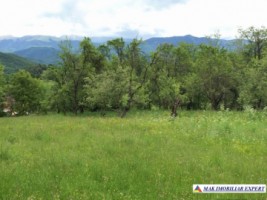 teren-4076-mp-intravilan-bughea-de-jos-2