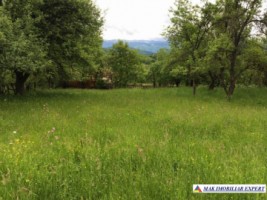 teren-4076-mp-intravilan-bughea-de-jos-1