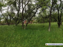 teren-4076-mp-intravilan-bughea-de-jos-3