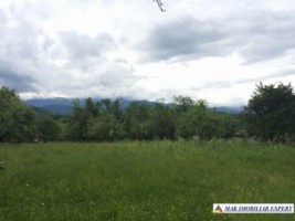 teren-4076-mp-intravilan-bughea-de-jos-4