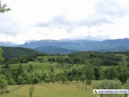 teren-4076-mp-intravilan-bughea-de-jos-6