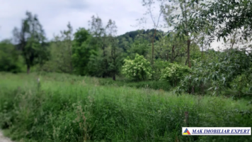 teren-5500-mp-intravilan-campulung