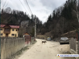 teren-intravilan-3350-mp-p-dambovitei-dambovicioara-arges-3